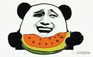 吃瓜群众阿星和阿奇,吃瓜群众的欢乐日常