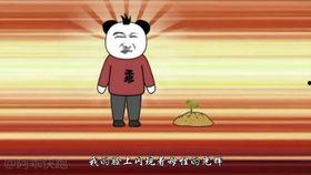 吃瓜群众沙雕动漫,吃瓜群众的欢乐盛宴