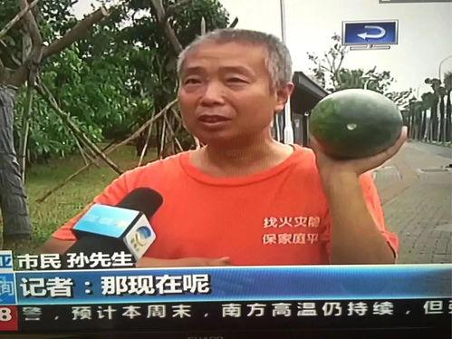 吃瓜群众热门事件视频,热门事件视频深度解析