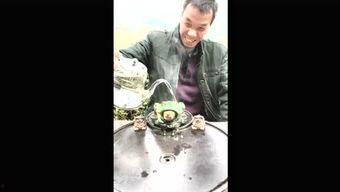 吃瓜群众联盟知乎,知乎上的热门话题与幕后故事