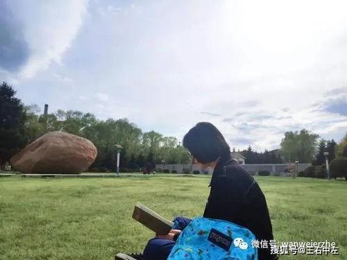 树四篇吃瓜群众岱岱,岱岱视角下的吃瓜群众众生相