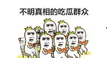 总吃瓜群众,揭秘娱乐圈幕后故事