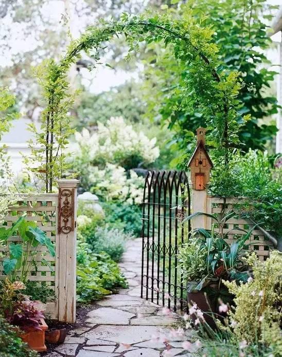 农家小院吃瓜群众,夏日里的欢乐时光