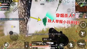 突击手小羽吃瓜群众,吃瓜群众的视角揭秘军营生活