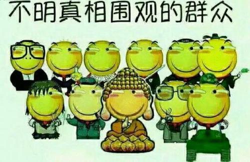 在家做吃瓜群众的说说句子