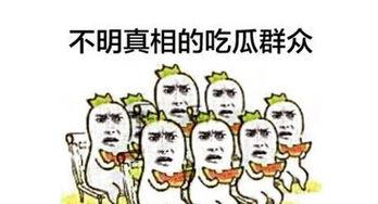 吃瓜群众的幸福生活,吃瓜群众的幸福生活画卷
